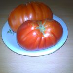 Kriaušės formos pomidorai 'CORAZON F1' 10 sėklų PS