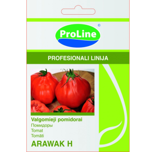Puikaus skonio ir formos pomidorai, „jaučio širdys“ 'ARAWAK' 8 sėklos SG