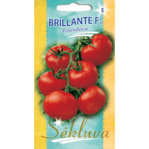 Pomidorai ankstyvi, plokščiai apvalūs didesni vaisiai 'BRILLANTE F1' 10 sėklų S.