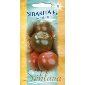 Rausvai rudi pomidorai, panašūs į Kumato pomidorus 'SIBARITA F1' 6 sėklos S.