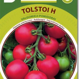 Aukštaūgiai pomidorai atsparūs ligoms, vidutiniais vaisiais 'TOLSTOI H' 35 sėklos BS.