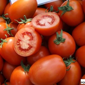 TUCANO F1 pomidorai PERPJAUTAS