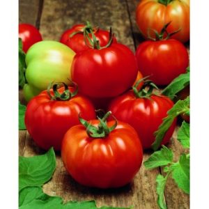 sultan-h-zemaugiai-pomidorai-35-seklos