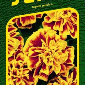 Serenčiai gvazdikiniai ankstyvi, geltoni su rudais „bitutė“ 'BONANZA BEE' 30 sėklų SM.