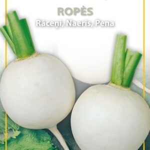 Baltos ropės, vidutinio dydžio 'PALLA DI NEVE' 5 g HOR.