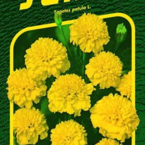 Serenčiai gvazdikiniai žemi, aukso geltonumo 'PETIT ŽLUTY' 1 g (Naudinga pakuotė) SM.