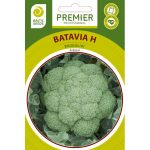 Brokoliai ankstyvi ‘BATAVIA H’