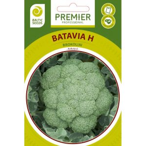 Brokoliai ankstyvi ‘BATAVIA H’ 30 sėklų BS
