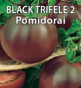 Pomidorai tamsūs nehibridiniai, raudonai rudi 'BLACK TRIFELE 2' 10 sėklų S.