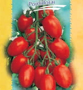 Pomidorai aukįtaūgiai, pailgi, derlingi 'COLIBRI F1' 10 sėklų S.