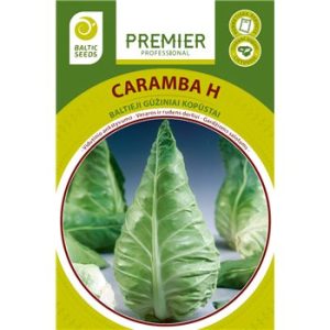 Kopūstai smailiagūžiai salotoms, labai skanūs ‘CARAMBA H’ 30 sėklų BS.