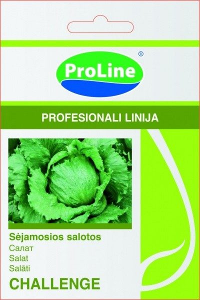 Salotos gūžinės ledinės, atsparios aukštai temperatūrai 'CHALLENGE' 30 sėklų SG. Salotos gūžinės ledinės, atsparios aukštai temperatūrai 'CHALLENGE' 30 sėklų SG.