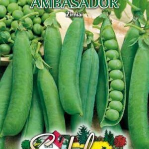 Žirniai ankstyvi, labai skanūs 'AMBASSADOR' 50 g (Naudinga pakuotė) S.