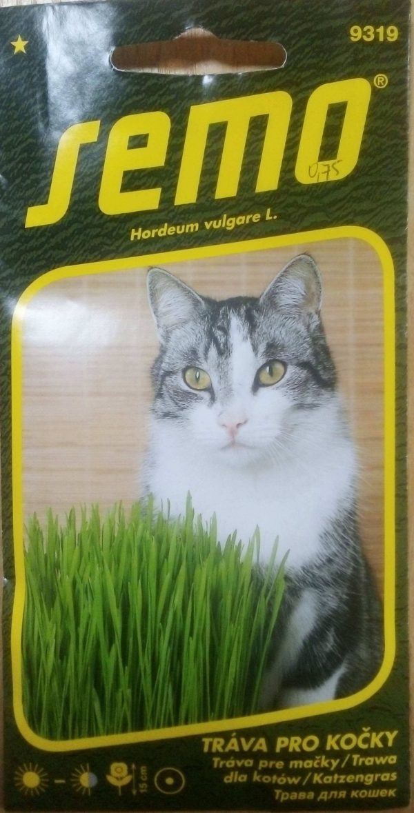 Žolė katėms paprastasis miežis Francin 10g