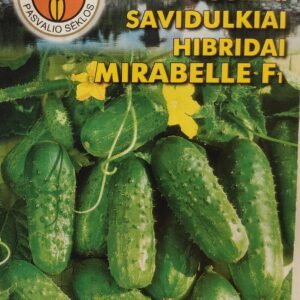 Agurkai savidulkiai derlingi ‘MIRABELLE F1’ 15 sėklų PS