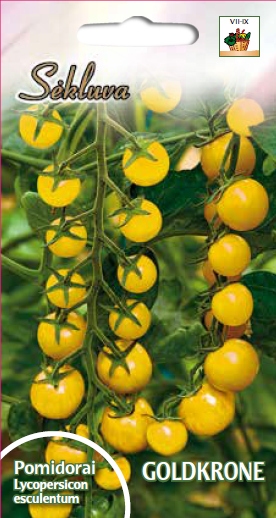 pomidorai vyšniniai geltoni Goldkrone