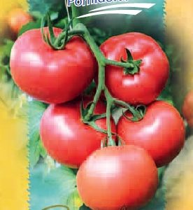 Pomidorai avietiniai labai ankstyvi, labai atsparūs ligoms ir labai skanūs 'KWINTELLA F1' 10 sėklų S. Naujiena 2021 m.