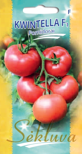 Pomidorai avietiniai labai ankstyvi Kwintella F1
