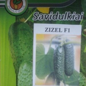 Agurkai savidulkiai skanūs ‘ZIZEL F1’ 10 sėklų PS