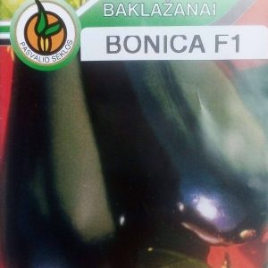Baklažanai ankstyvi šiltnamiui, laukui 'Bonica F1' 15 sėklų PS