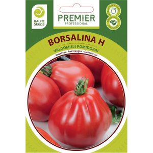 Pomidorai desertiniai 'BORSALINA H' 5 sėklos BS.