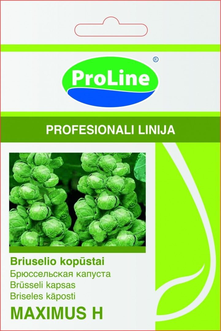 Kopūstai briuselio derlingi, didesnės galvutės 'MAXIMUS H’ 15 sėklų SG. Kopūstai briuselio derlingi, didesnės galvutės 'MAXIMUS H’ 15 sėklų SG.