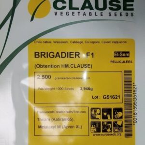 Kopūstai gūžiniai rauginimui saldūs ‘BRIGADIER F1’, 2.500 sėklų (Profi pakuotė), Clause
