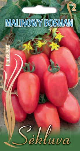 pomidorai lauko Malinowy Bosman