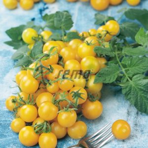 Pomidorai vyšniniai geltoni Sunlemon F1