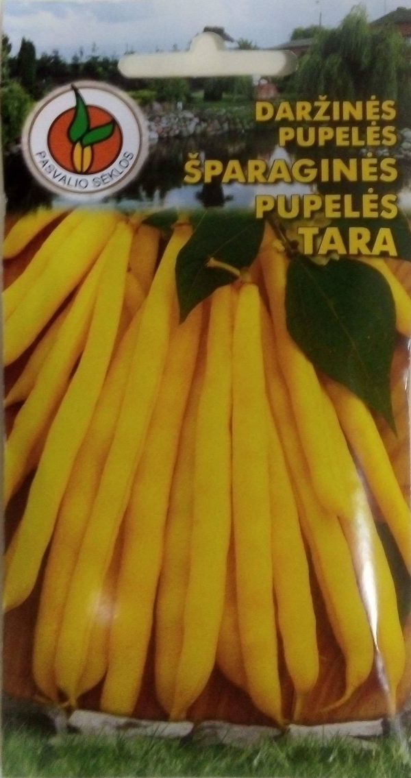 Šparaginės pupelės Tara geltonos