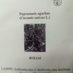 agurkai lietuviški savidulkiai Roliai