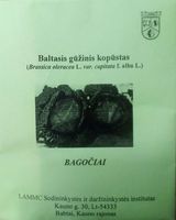 Lietuviški kopūstai rauginimui 'BAGOČIAI' 1 g