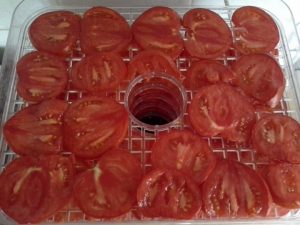 Pomidorai Gourmandia