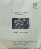 Lietuviški svogūnai 'BABTŲ DIDIEJI' 1 g