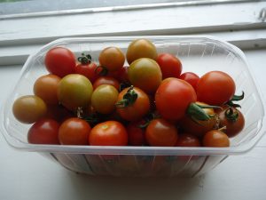 Vyšniniai pomidorai ant palangės