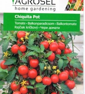 Pomidorai vazoniniai 'CHIQUITA POT' 0,6 g AGR