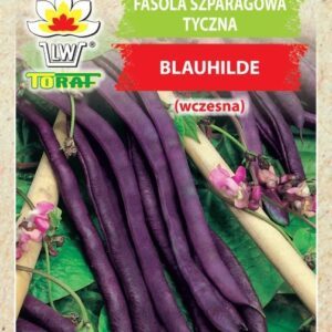 Vijoklinės šparaginės tamsios violetinės pupelės 'BLAUHILDE' 10 g TO.