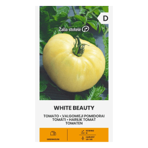 pomidorai White Beauty
