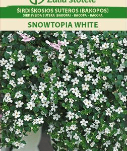 Širdiškosios suteros bakopos svyrančios baltos 'SNOWTOPIA WHITE' 6 dražė