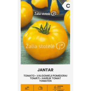 Pomidorai geltonai oranžiniai 'JANTAR' 0,2 g A.