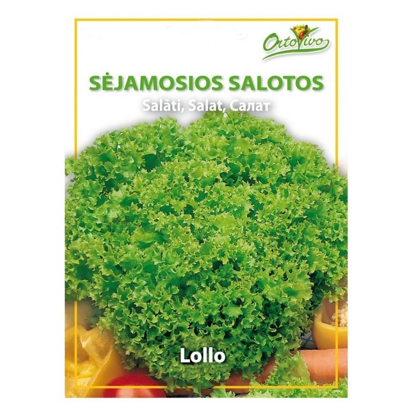 Salotos lapinės garbanotos 'LOLLO' 2 g HOR. Salotos lapinės garbanotos 'LOLLO' 2 g HOR.