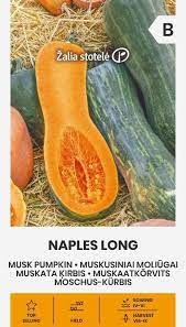 Muskusiniai moliūgai ilgi 'NAPLES LONG' 1,5 g A.