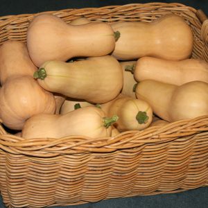 butternut-squash1 derlius krepšyje