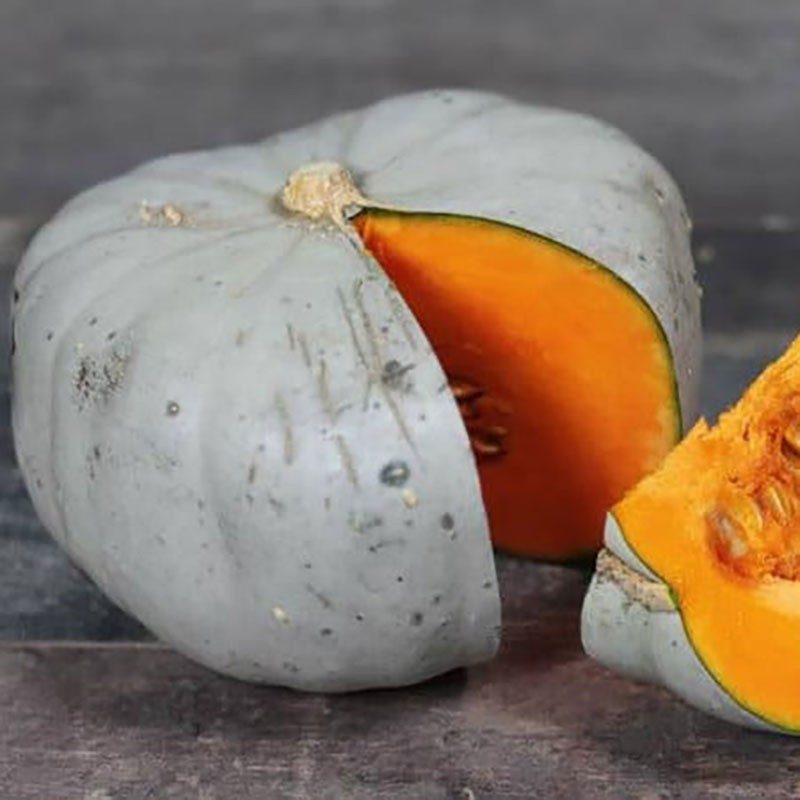 Moliūgai melsvai pilki, minkštimas oranžinis 'NAGYDOBOSI' 2 g A. Moliūgai melsvai pilki, minkštimas oranžinis 'NAGYDOBOSI' 2 g A.