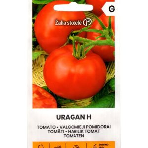 Pomidorai labai ankstyvi 'URAGAN H' 0,1 g A.