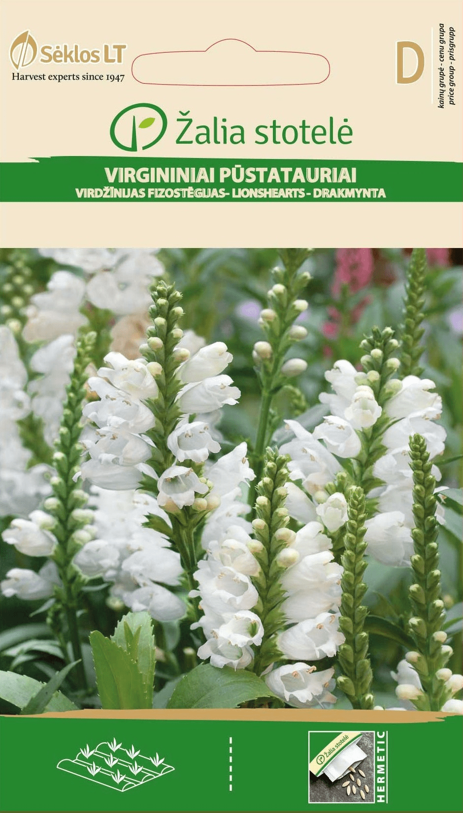Virgininiai pūstatauriai, balti, daugiamečiai, vidutinio aukščio 0,2 g A. Virgininiai pūstatauriai, balti, daugiamečiai, vidutinio aukščio 0,2 g A.