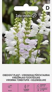 Virgininiai pūstatauriai, balti, daugiamečiai, vidutinio aukščio 0,2 g A.