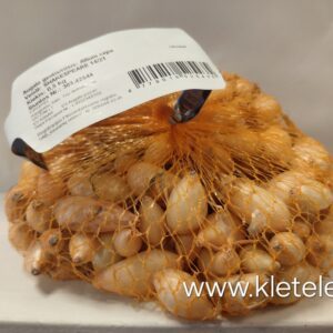 Svogūnų sodinukai žieminiai, žiemojantys 'SHAKESPEARE' 0,5 kg Svogūnų sodinukai žieminiai, žiemojantys 'SHAKESPEARE' 0,5 kg