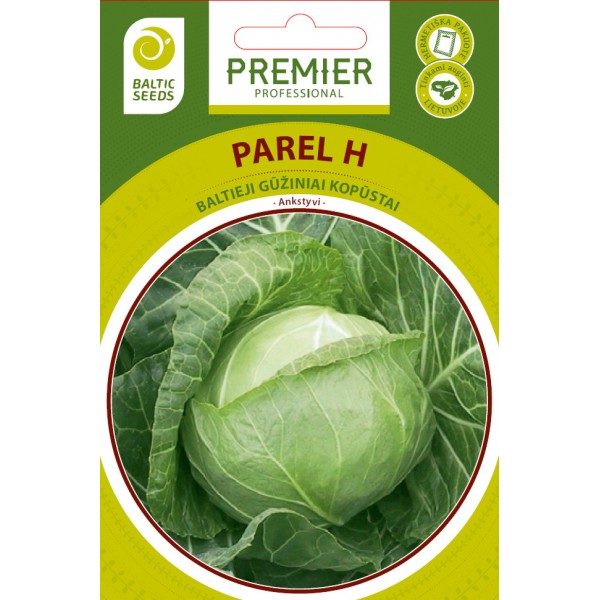 Kopūstai ankstyvi skanūs ‘PAREL H’ 30 sėklų BS. Kopūstai ankstyvi skanūs ‘PAREL H’ 30 sėklų BS.