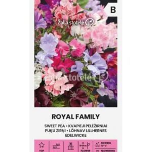 Kvapieji pelėžirniai mišinys, vijokliniai 'ROYAL FAMILY' 3 g A.